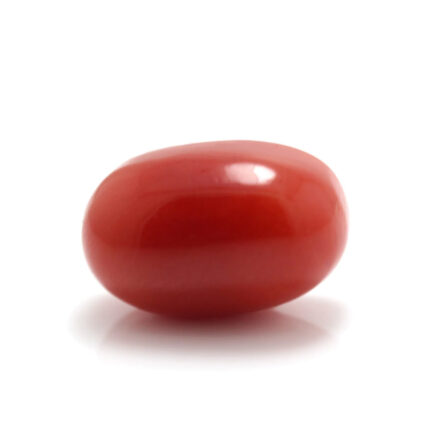 CL95