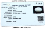 IIGJ CERTIFIED