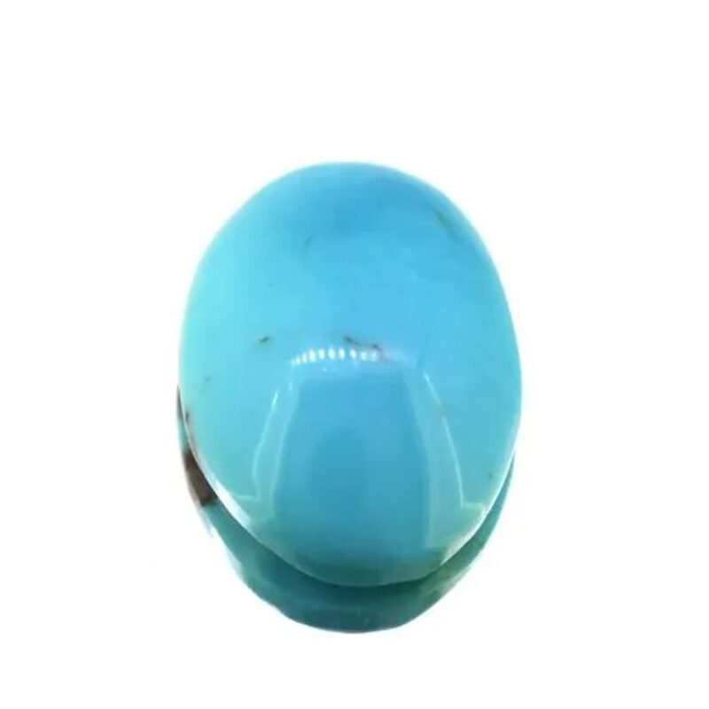 TR13