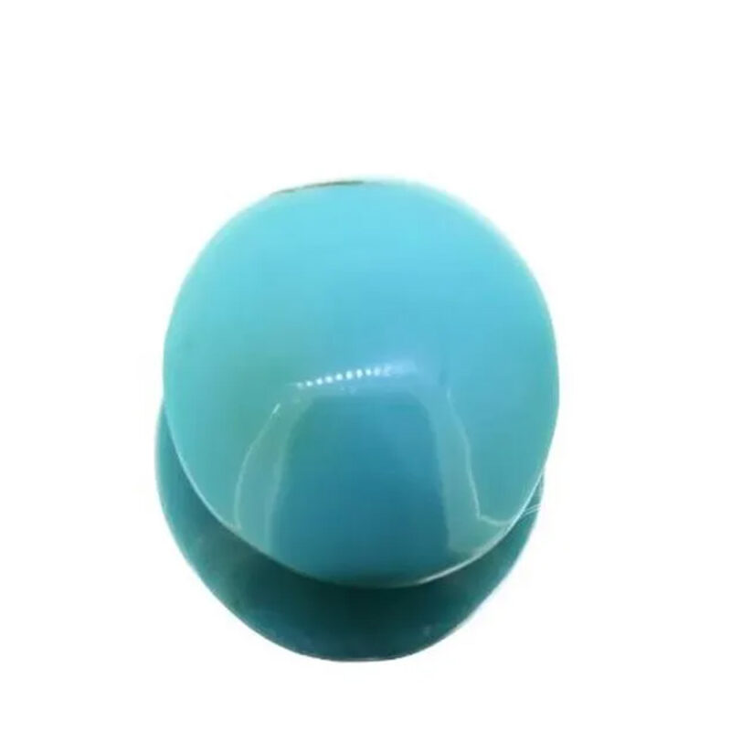 TR21
