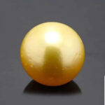 Golden South Sea Pearl (Moti) 7.94 Carat (8.73 Ratti)