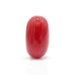 Red Coral 2.75 Carat (Moonga 3.03 Ratti)