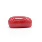 Red Coral 2.75 Carat (Moonga 3.03 Ratti) - Image 4