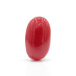 Red Coral 2.86 Carat (Moonga 3.15 Ratti)