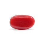Red Coral 2.86 Carat (Moonga 3.15 Ratti) - Image 3