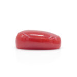 Red Coral 2.86 Carat (Moonga 3.15 Ratti) - Image 4