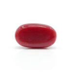 Red Coral 2.39 Carat (Moonga 2.63 Ratti) - Image 3