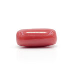 Red Coral 7.66 Carat (Moonga 8.43 Ratti) - Image 4