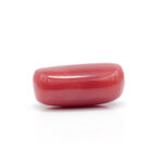 Red Coral 7.48 Carat (Moonga 8.23 Ratti) - Image 4