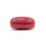 Red Coral 7.02 Carat (Moonga 7.72 Ratti) - Image 4