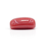 Red Coral 7.45 Carat (Moonga 8.20 Ratti - Image 4