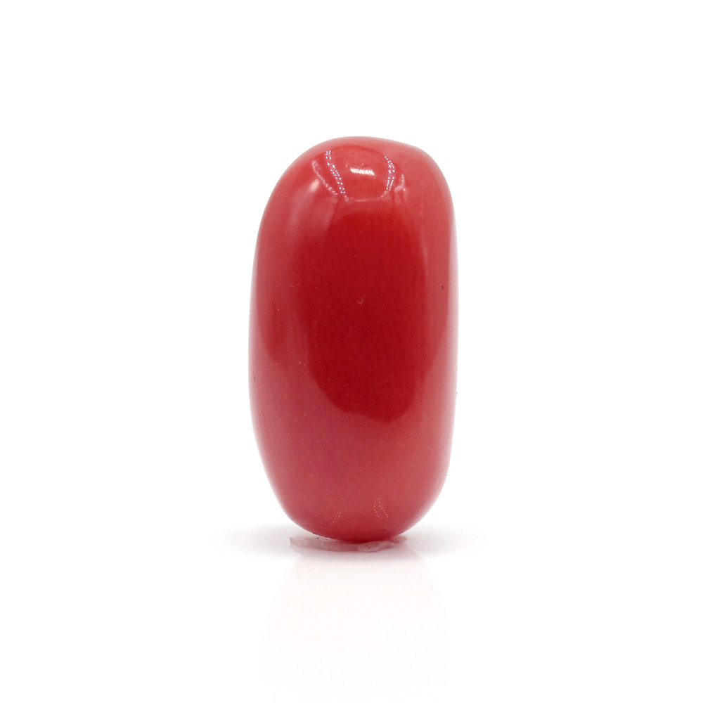 GACL280 (1) Red Coral 8.08 Carat (Moonga 8.89 Ratti - Image 1