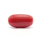 Red Coral 8.08 Carat (Moonga 8.89 Ratti - Image 3