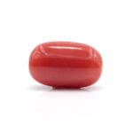 Red Coral 8.09 Carat (Moonga 8.90 Ratti) - Image 3