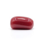 Red Coral 7.28 Carat (Moonga 8.01 Ratti) - Image 4