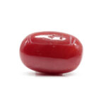 Red Coral 5.52 Carat (Moonga 6.07 Ratti) - Image 3