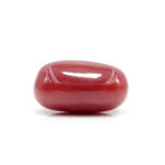 Red Coral 5.52 Carat (Moonga 6.07 Ratti) - Image 4