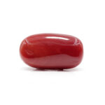 Red Coral 6.21 Carat (Moonga 6.83 Ratti) - Image 3