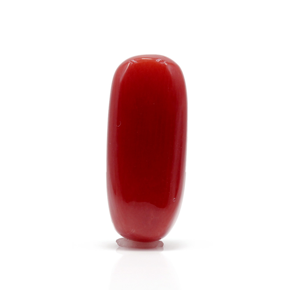 CL317 (1) Red Coral 7.06 Carat (Moonga 7.77 Ratti) - Image 1