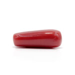 Red Coral 7.06 Carat (Moonga 7.77 Ratti) - Image 4