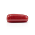 Red Coral 7.44 Carat (Moonga 8.18 Ratti) - Image 4