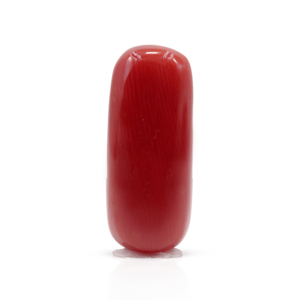 CL322 (1) Red Coral 7.45 Carat (Moonga 8.20 Ratti) - Image 1