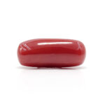 Red Coral 8.26 Carat (Moonga 9.09 Ratti) - Image 3