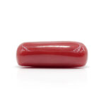 Red Coral 8.26 Carat (Moonga 9.09 Ratti) - Image 4
