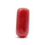 Red Coral 8.43 Carat (Moonga 9.27 Ratti)