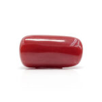 Red Coral 8.15 Carat (Moonga 8.97 Ratti) - Image 3