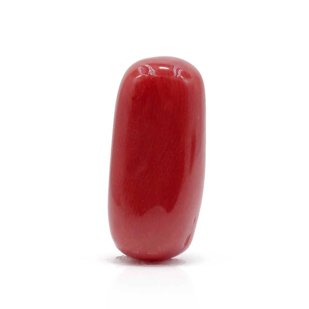 CL328 (1) Red Coral 8.29 Carat (Moonga 9.12 Ratti) - Image 1