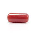 Red Coral 7.99 Carat (Moonga 8.79 Ratti) - Image 3