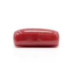Red Coral 8.57 Carat (Moonga 9.43 Ratti) - Image 4