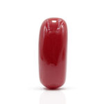 Red Coral 9.92 Carat (Moonga 10.91 Ratti)