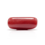 Red Coral 9.92 Carat (Moonga 10.91 Ratti) - Image 3