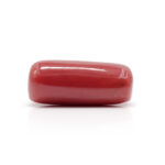 Red Coral 10.32 Carat (Moonga 11.35 Ratti) - Image 4