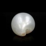 Natural Keshi Pearl (Moti) 9.84 Carat (10.82 Ratti) - Image 5